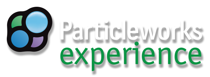 Particleworks experience