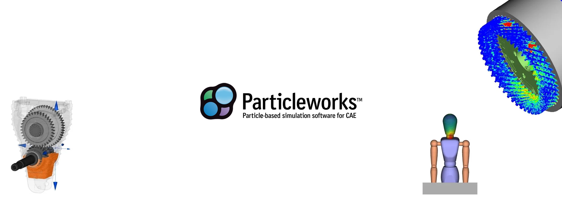 Particleworks Experience